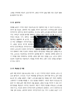 [최신A+자료]그래비티영화감상문[그래비티분석과감상평][그래비티줄거리와감상문][그래비티 영화감상][그래비티][영화 그래비티] [알폰소쿠아론]-5