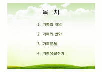 가족에대한이해(사회복지실천기술론, 개념, 변화, 가족문제, 가족생활주기) PPT 파워포인트-2