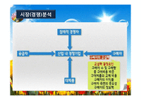 서비스업창업(창업계획, 창업절차, 시장분석, 성공창업, 창업실패요인)-13