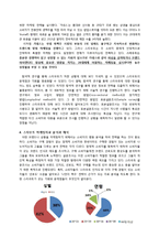 스타우트 STOUT 문제점분석과 스타우트 새로운 마케팅전략 제안 레포트-9