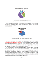 스타우트 STOUT 문제점분석과 스타우트 새로운 마케팅전략 제안 레포트-11
