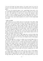 스타우트 STOUT 문제점분석과 스타우트 새로운 마케팅전략 제안 레포트-17
