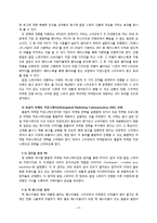 스타우트 STOUT 문제점분석과 스타우트 새로운 마케팅전략 제안 레포트-18