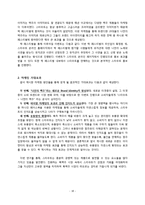 스타우트 STOUT 문제점분석과 스타우트 새로운 마케팅전략 제안 레포트-19