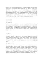 프로이트 정신분석이론의 이해-5