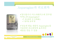 식품영양-미생물을 이용한 제품 개발-6