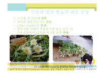 식품영양-미생물을 이용한 제품 개발-19