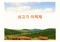 축산물 관련 제도 조사-3