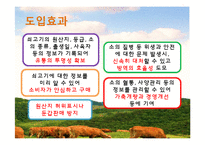 축산물 관련 제도 조사-7