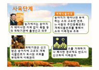 축산물 관련 제도 조사-9