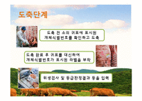 축산물 관련 제도 조사-10