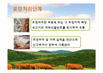 축산물 관련 제도 조사-11