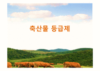 축산물 관련 제도 조사-19