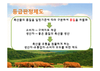 축산물 관련 제도 조사-20