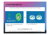 식품안전관리(식품안전관리조직, 식품안전관리제도, 식중독관리, 수입식품안전관리, 유전자재조합식품, 건강기능식품) PPT, 파워포인트-19
