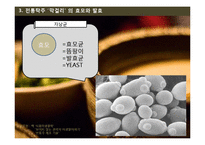 막걸리의 효모와 발효 및 제조공정-12