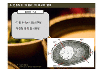 막걸리의 효모와 발효 및 제조공정-13