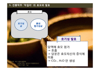 막걸리의 효모와 발효 및 제조공정-19
