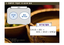 막걸리의 효모와 발효 및 제조공정-20