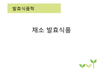 채소 발효식품 레포트-1