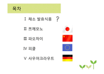 채소 발효식품 레포트-2