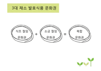 채소 발효식품 레포트-4