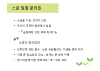 채소 발효식품 레포트-6