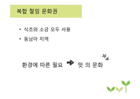 채소 발효식품 레포트-7
