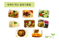 채소 발효식품 레포트-8