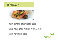 채소 발효식품 레포트-9