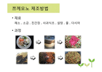 채소 발효식품 레포트-11