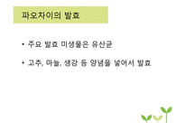 채소 발효식품 레포트-19
