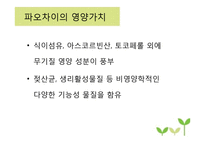 채소 발효식품 레포트-20