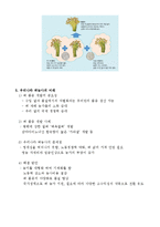 벼의 종자, 벼농사 발전방안 고찰-5