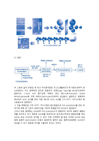 바이오 플라스틱의 특징 및 종류와 미래-10