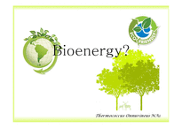 Bioenergy & Thermococcus Onnurineus NA1-3