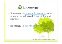 Bioenergy & Thermococcus Onnurineus NA1-4