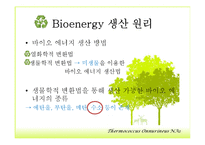 Bioenergy & Thermococcus Onnurineus NA1-5