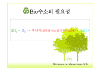 Bioenergy & Thermococcus Onnurineus NA1-6