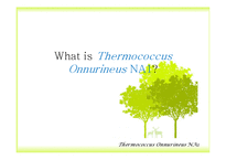 Bioenergy & Thermococcus Onnurineus NA1-7