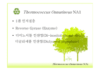 Bioenergy & Thermococcus Onnurineus NA1-11