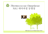 Bioenergy & Thermococcus Onnurineus NA1-13