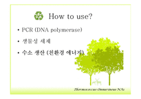 Bioenergy & Thermococcus Onnurineus NA1-16