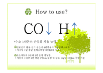 Bioenergy & Thermococcus Onnurineus NA1-19