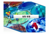 디스플레이 재료 실험- 박막전극의 제조-13