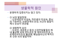 자폐성 장애의 교수방법 및 사례-6