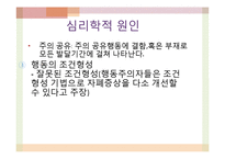 자폐성 장애의 교수방법 및 사례-9