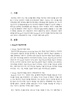 [아동수학지도] 영유아 수학교육의 이론적 배경들 중에 Brner의 정보처리이론과 Gardner의 인지적 다원론-2