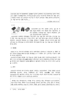 문학작품의 모던걸과 패션-3