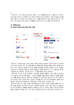 컴투스의 `타이니팜` 마케팅전략-9